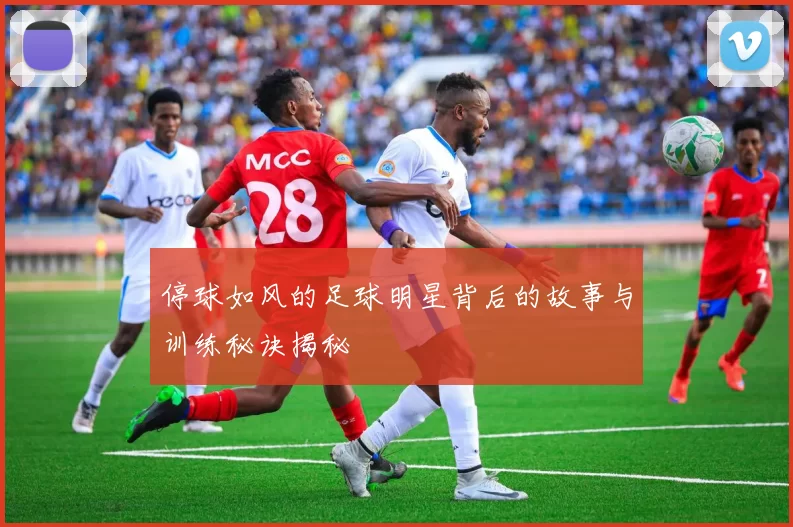 停球如风的足球明星背后的故事与训练秘诀揭秘