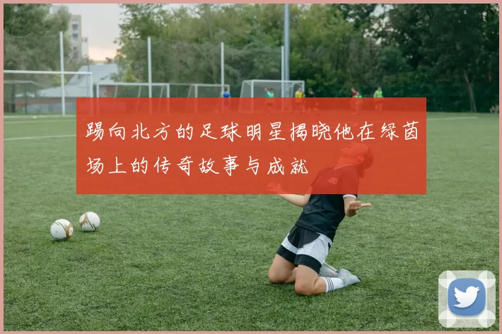 踢向北方的足球明星揭晓他在绿茵场上的传奇故事与成就