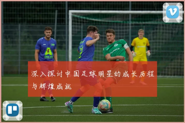 深入探讨中国足球明星的成长历程与辉煌成就
