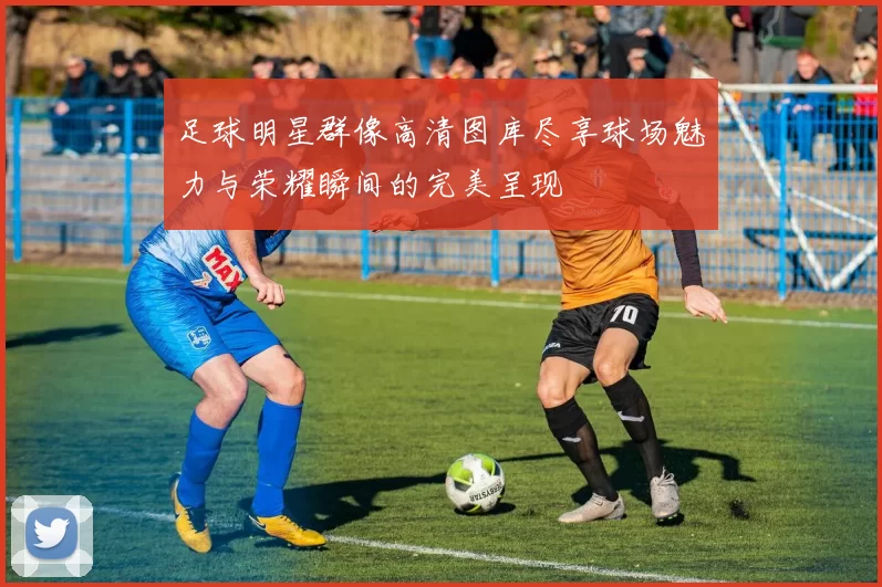 足球明星群像高清图库尽享球场魅力与荣耀瞬间的完美呈现