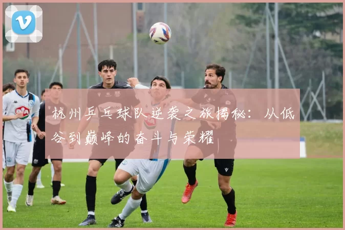 杭州乒乓球队逆袭之旅揭秘：从低谷到巅峰的奋斗与荣耀