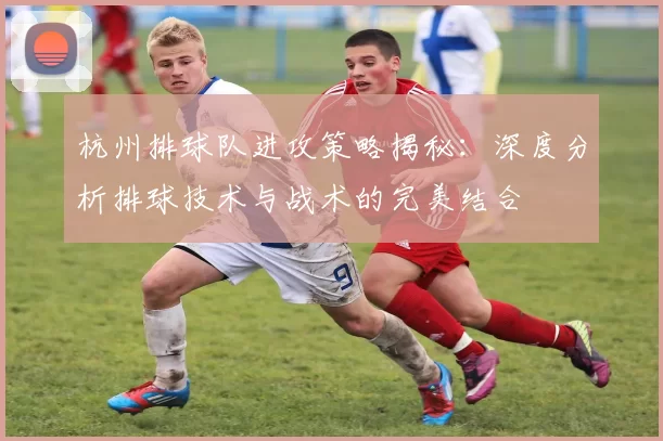 杭州排球队进攻策略揭秘：深度分析排球技术与战术的完美结合