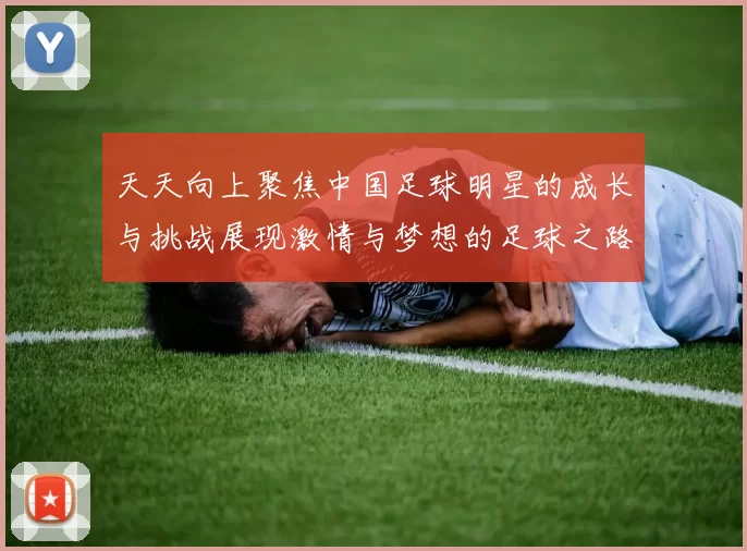 天天向上聚焦中国足球明星的成长与挑战展现激情与梦想的足球之路