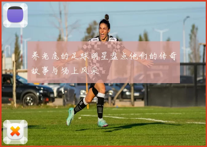 养老虎的足球明星盘点他们的传奇故事与场上风采