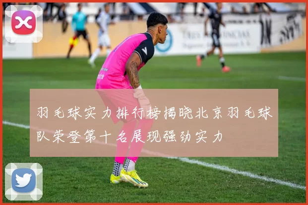 羽毛球实力排行榜揭晓北京羽毛球队荣登第十名展现强劲实力