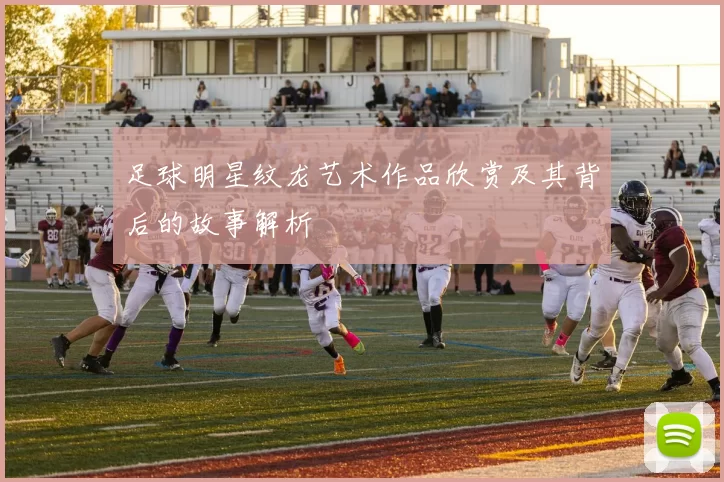 足球明星纹龙艺术作品欣赏及其背后的故事解析