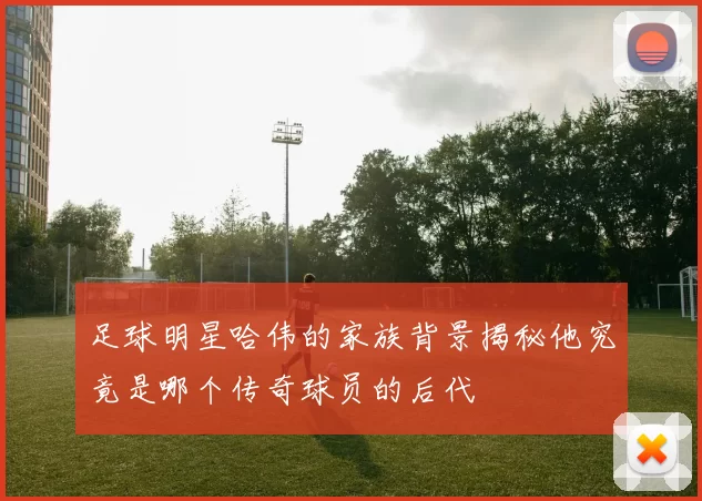 足球明星哈伟的家族背景揭秘他究竟是哪个传奇球员的后代