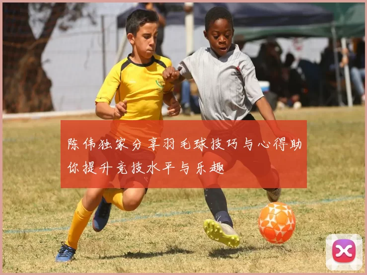 陈伟独家分享羽毛球技巧与心得助你提升竞技水平与乐趣