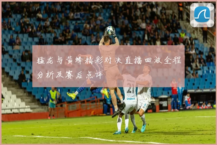 猛龙与黄蜂精彩对决直播回放全程分析及赛后点评
